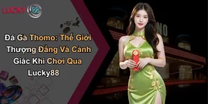 Đá Gà Thomo: Thế Giới Thượng Đẳng Và Cảnh Giác Khi Chơi Qua Lucky88