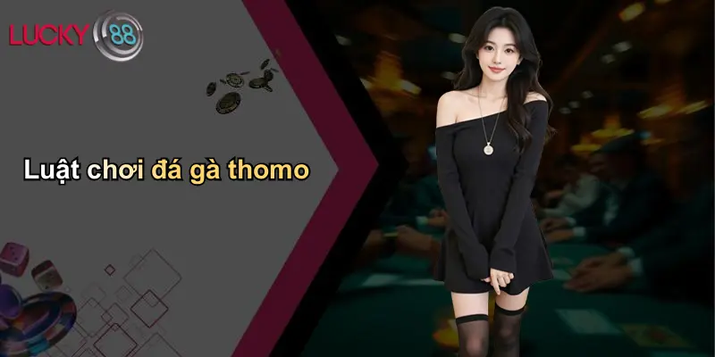 Luật chơi đá gà thomo