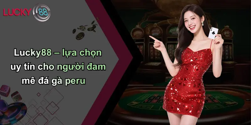 Lucky88 – lựa chọn uy tín cho người đam mê đá gà peru